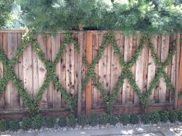 Great Trellis And Planting Idea For A
