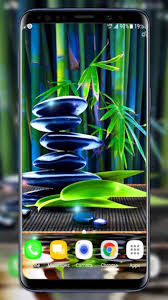 zen garden live wallpaper 6 6 5 free