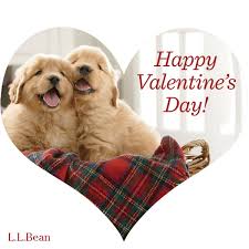 Dogs show us the love every single day of the year. Happy Valentine S Day From Llbean Happy Valentines Day Happy Valentine Dog Valentines