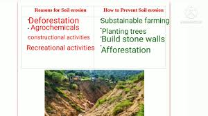 soil reason for soil erosion
