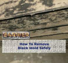 safe diy black mold removal barrier