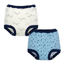 Baby Boy Cloth Diapers And Training Pants Gerber Childrenswear