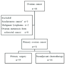 ovarian cancer accompanied with