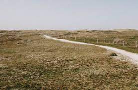 dutch coastal path