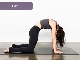 5 yoga poses you should be doing every