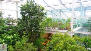 botanical garden of padua italy review