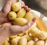 What is a healthier alternative to potatoes?