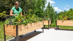 Create A Sensory Garden Gardener S Supply