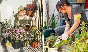 How To Make A Garden On Your Balcony