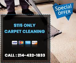 garland carpet cleaning tx pet stain