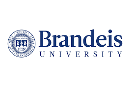 Branding And Identity Guidelines Brandeis University