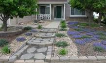 Xeriscaping Fort Collins | Colorado | Backes Landscaping