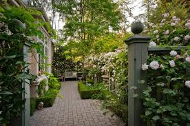 17 Landscaping Side Yard Ideas To