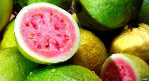 addthis guava from a to z 26 things to know