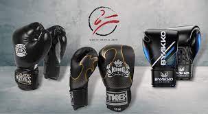 best boxing gloves training and
