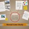 Biovail Case Study