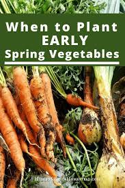When To Plant Early Spring Vegetables