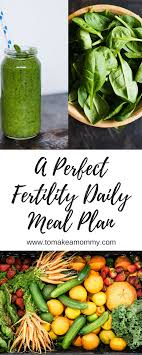 A Day In The Life Of The Ultimate Fertility Diet To Make A