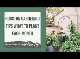 Houston Gardening Tips Learn What To