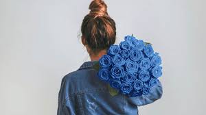 blue rose meaning color symbolism