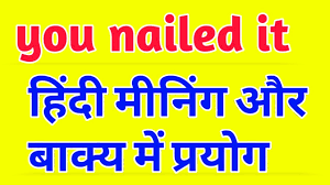 just nailed it meaning in hindi
