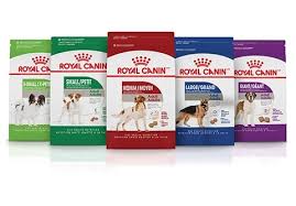 royal canin puppy canned dog food 13 5