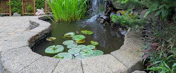Benefits Of Adding Water Features To
