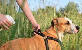 best mosquito repellent for dogs