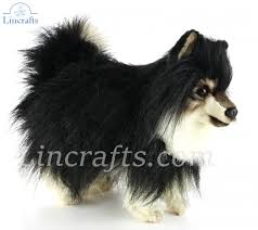 soft toy black pomeranian dog by hansa