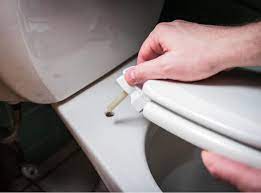 Diy Basics How To Replace A Toilet Seat