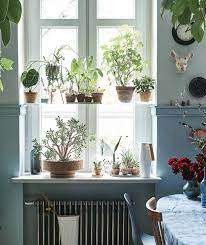 25 Diy Indoor Window Garden For Limited
