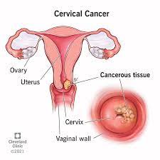 Cleveland Clinic gambar png