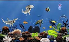 49 live fish aquarium wallpaper