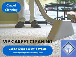 vip carpet cleaning ggs business