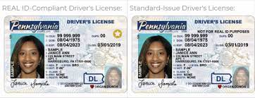 what is the real id and what do you
