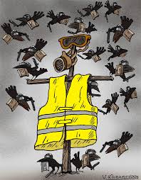 Image result for yellow jackets france