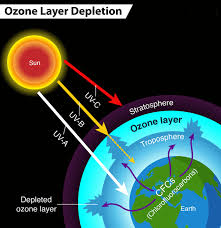 ozone layer definition javatpoint