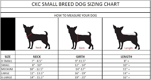 Small Breed Dog Sizing Chart Izzy Size Small Hoss