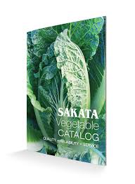 Жаклин сид / jacklin seed (сша). Home Sakata Wholesale Vegetable Seed