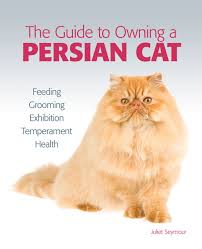 a persian cat ebook by juliet seymour