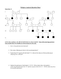 How To Read Pedigrees Bismi Margarethaydon Com