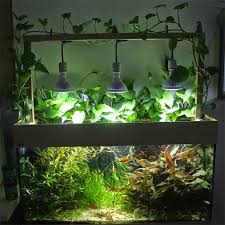 Diy Led Aquarium Lighting System