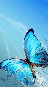 Find the best blue butterfly wallpaper on wallpapertag. Blue Butterfly Iphone Wallpaper