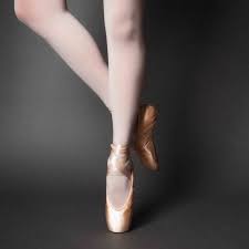 Ballet Shoes Rose La Pointe Satin Photo