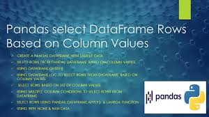 pandas select dataframe rows based on