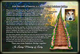 Feel free to download it and print on your computer for yourself or to give to a friend in need. Rainbow Bridge Pet Loss Poem Memorial Post Card