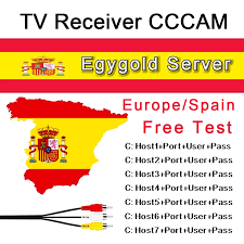 S10.cccamz.com 13200 9ymlbh cccamz.com c: 2020 Egygold Cccam Supports Hd Latest 1 Year European Egygold Server For Spain Germany Italy Satellite Receiver 24h Free Test Satellite Tv Receiver Aliexpress