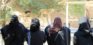 حديقة حيوان في جدة الان