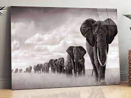 Tempered Glass Wall Art Elephans Extra