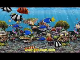 3d fish screensaver tropical